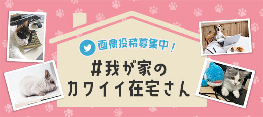 画像:バナー